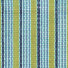 Frog Indoor/Outdoor Rug