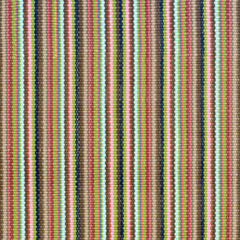 Kitchen Sink Indoor/Outdoor Rug