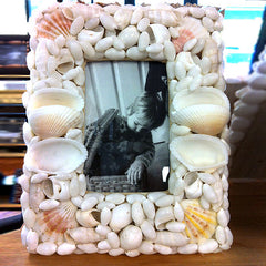 4x6 Frame of Shells